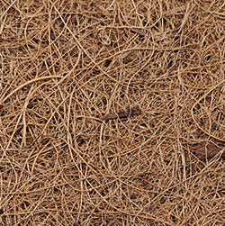 Fibra de coco